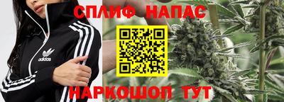 шишки Конаково