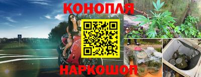 шишки Конаково
