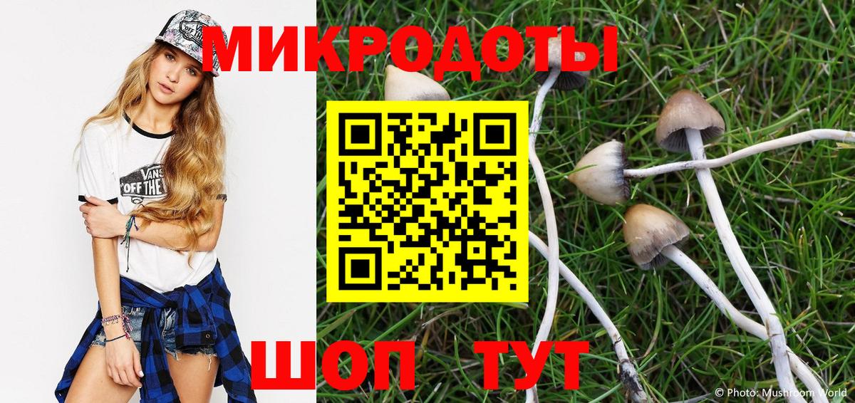 Красноармейск  Псилоцибиновые грибы мухоморы  Вход с VPN 